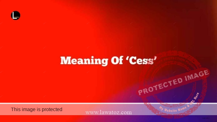 Meaning of ‘Cess’