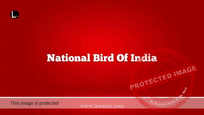 National bird of India