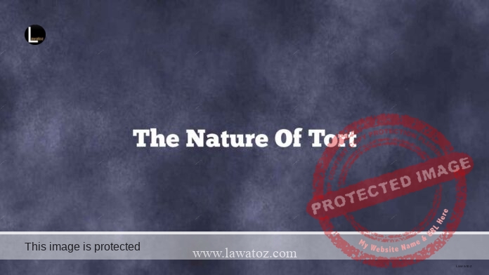 The Nature of Tort