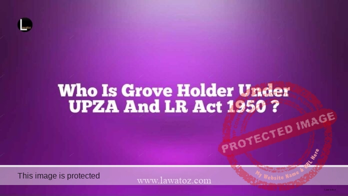 Who is Grove Holder under UPZA and LR Act 1950 ?